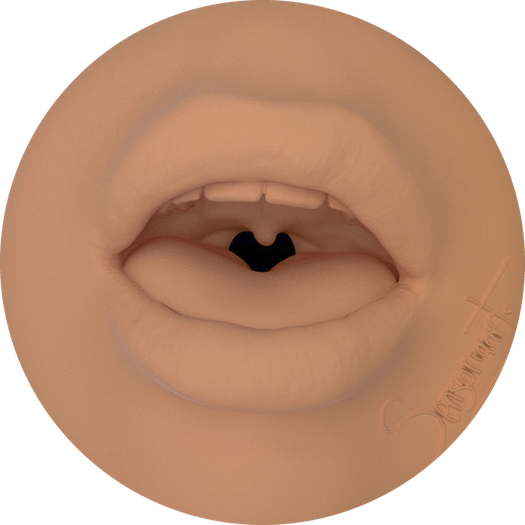 Sensoriaart - Masturbatoriaus anga